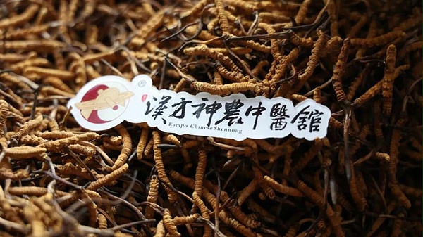 那曲天然冬虫夏草
