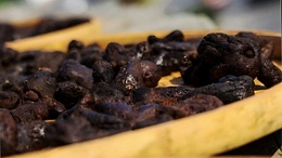 九蒸九制黄精