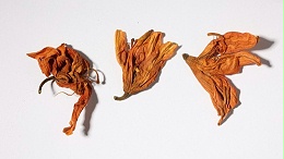 百合花
