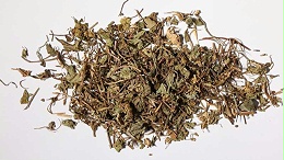 积雪草