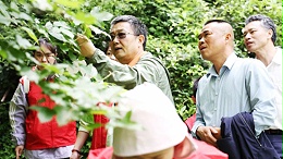 株洲市卫健委党委委员、副主任、二级调研员邓跃东，四级调研员、中医科科长陈茂生参加神农野外识药辨药活动