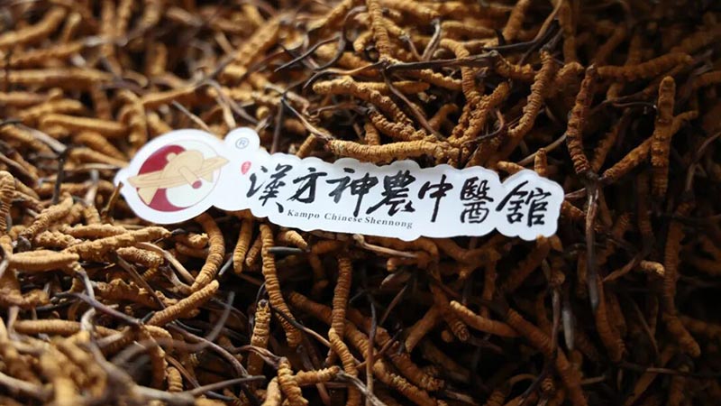 那曲天然冬虫夏草