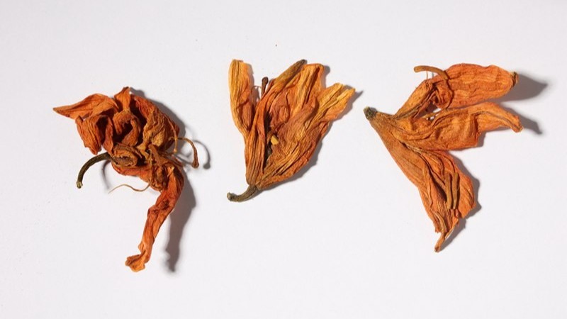百合花