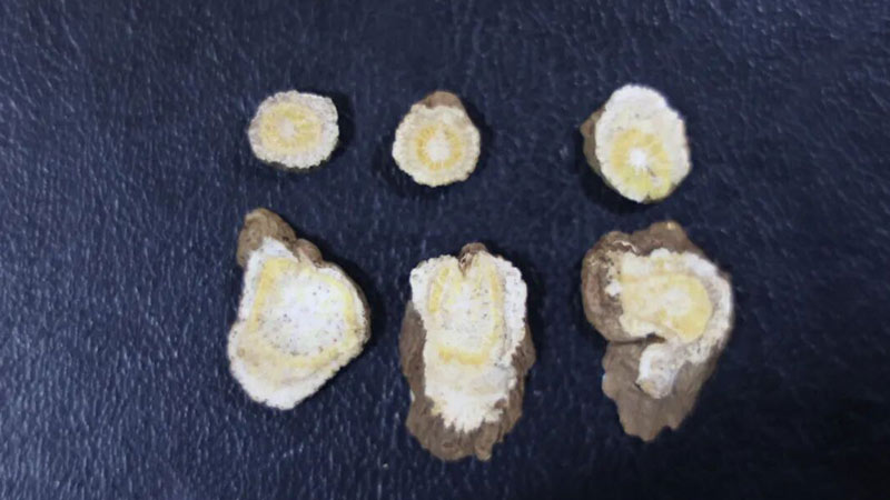 汉方神农中医馆开展中药材鉴别专项培训，筑牢道地药材质量根基9