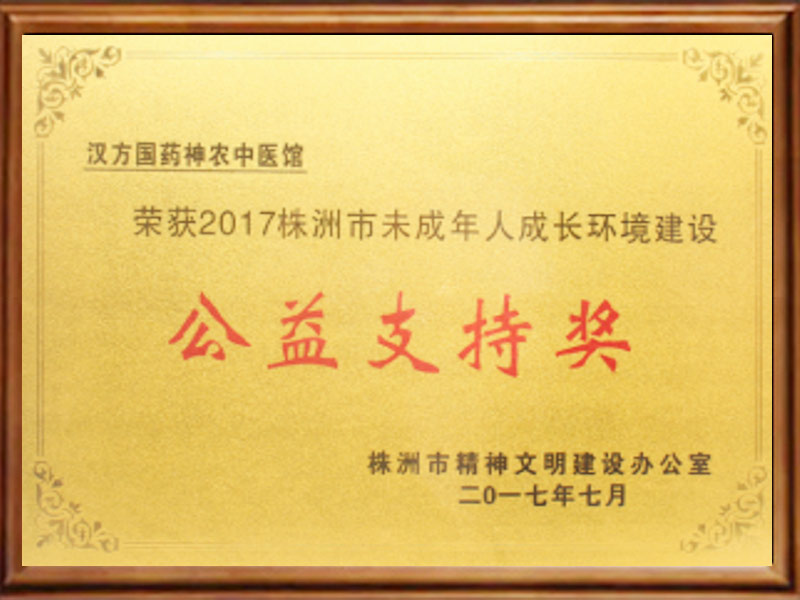 公益支持奖